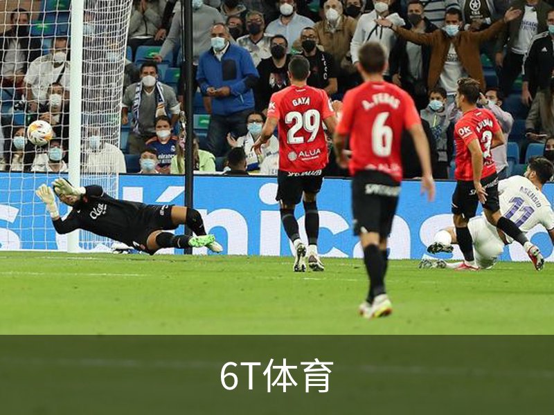 走进6T体育